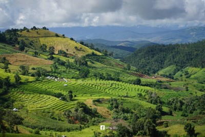 บรรยากาศ