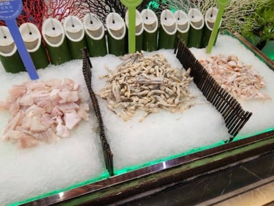 หอยหลอด