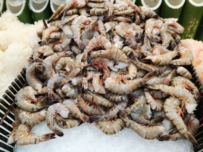 กุ้งลายเสือ