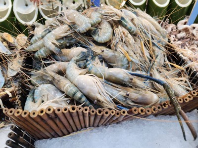 กุ้งแม่น้ำ