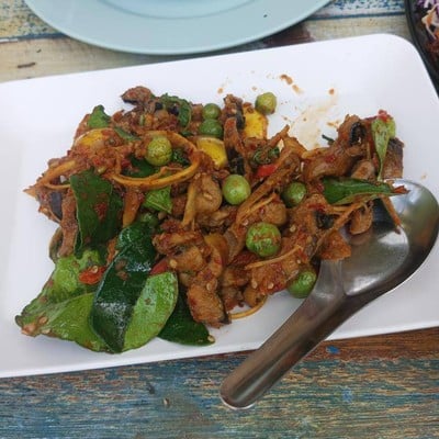 ครัววันดีอาหารป่า