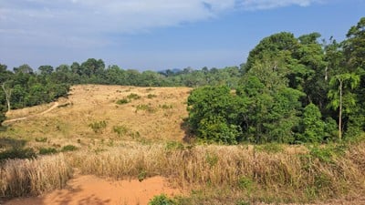 อุทยานแห่งชาติเขาใหญ่