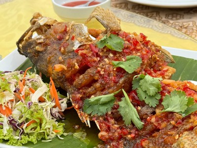 ปลาเก๋าราดพริก