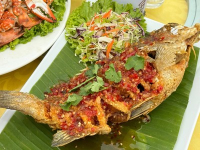 ปลาเก๋าราดพริก