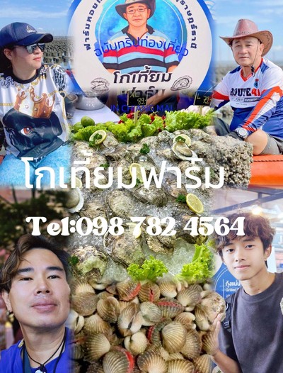 อื่นๆ
