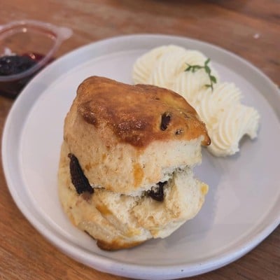 Scone