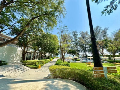 บริเวณโดยรอบ