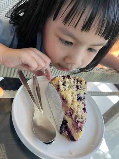 blueberry cheese cake