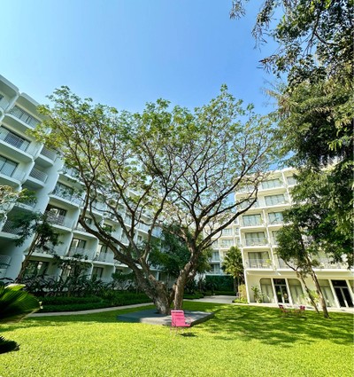 บริเวณโดยรอบ