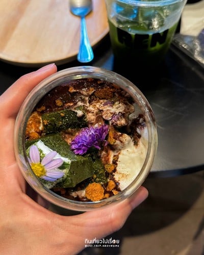 Matcha Chocolate Terrarium
