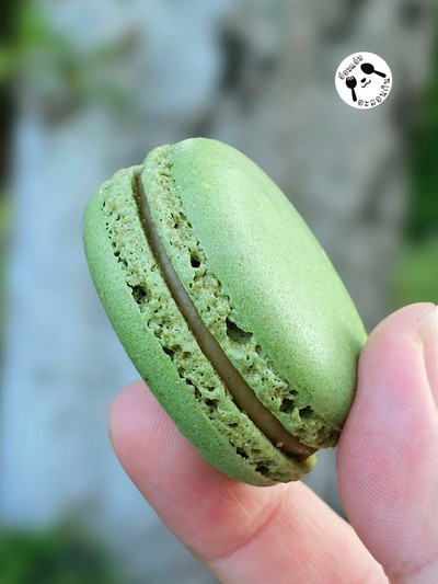 มากาฮอง