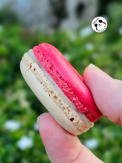 มากาฮอง