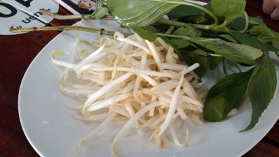 ผักฟรี