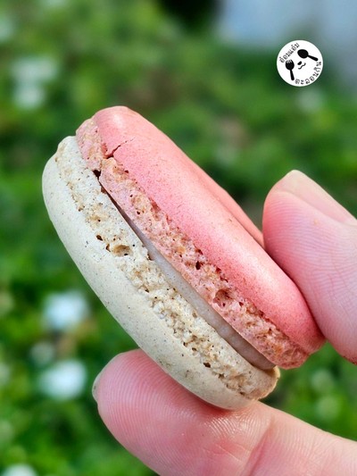 มากาฮอง