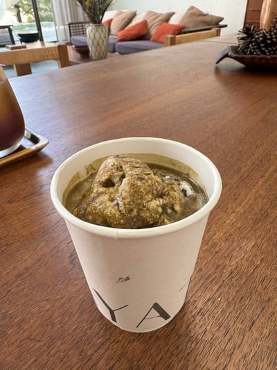 Hojicha affogato