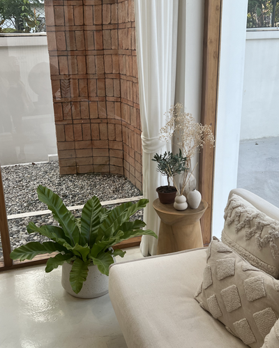 ร้านสวยมากกก ฟีลโฮมมี่