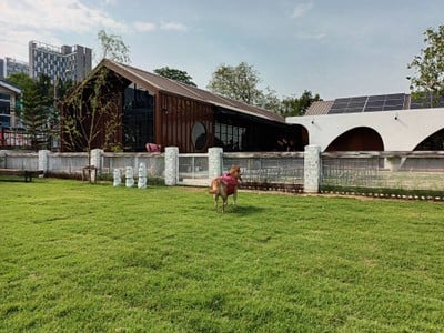 มีสนามใหญ่ๆไว้ปล่อยพลังด้วย คุณแม่นั่งชิวทานอาหารรอ