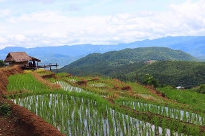 บริเวณโดยรอบ