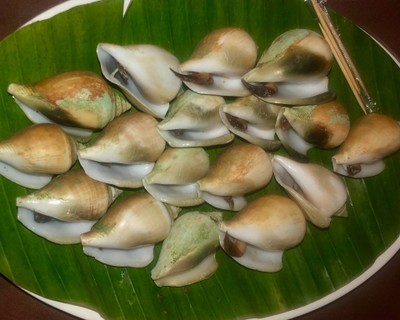 หอยชักตีน
