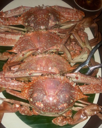 ปูม้านึ่ง