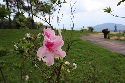 บรรยากาศ จุดชมวิวม่อนสน