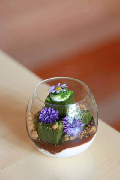 Matcha Chocolate Terrarium Cake