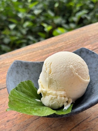สวนแม่หม่อน ฟาร์ม แอนด์ คาเฟ่ วังน้ำเขียว