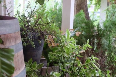 บรรยากาศ