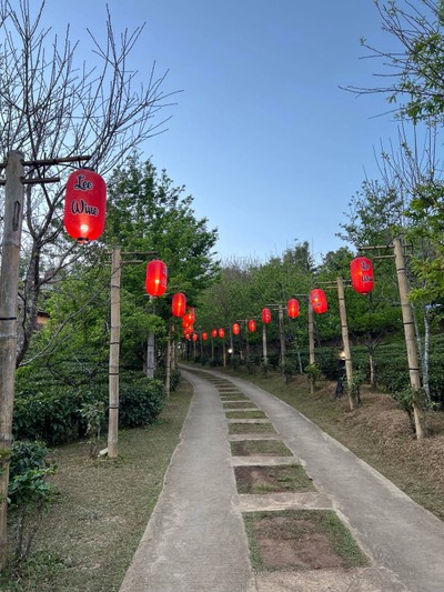 บริเวณโดยรอบ