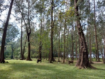 บรรยากาศ