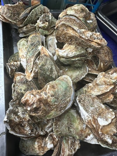 ป๋าหน่องหมูกระทะ บุฟเฟ่