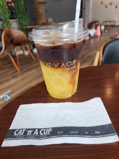 Orange Cappucino