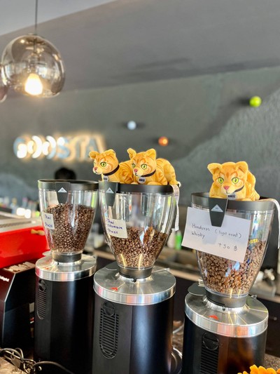 🫘 Coffee Beans.