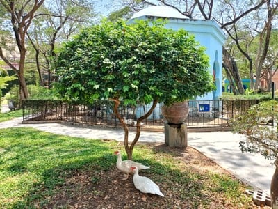 บรรยากาศ