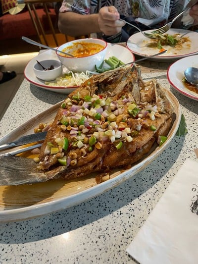 ปลากะพงทอดลุยสวน