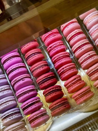 SCENT Specialty Coffee SCENT