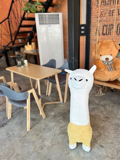 🌅 บรรยากาศร้าน.