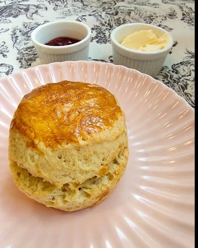 PLAIN SCONE