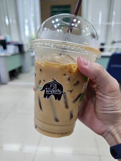 กาแฟพันธุ์ไทยเย็น