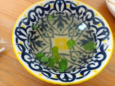 น้ำซุปสีทอง