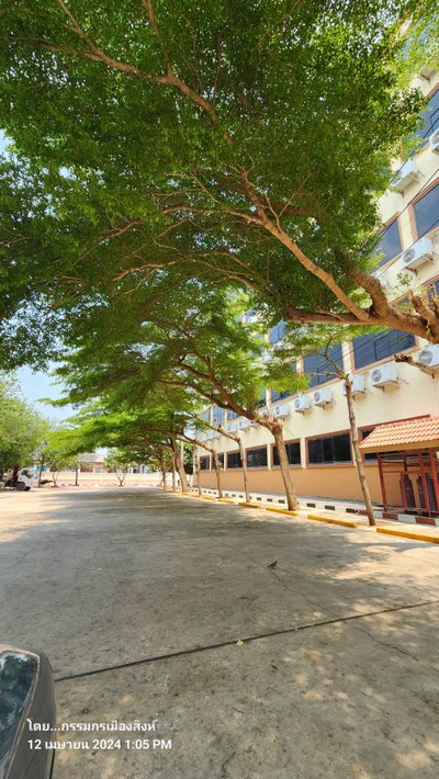 บริเวณโดยรอบ