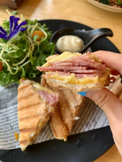 Ham & Cheese Panini