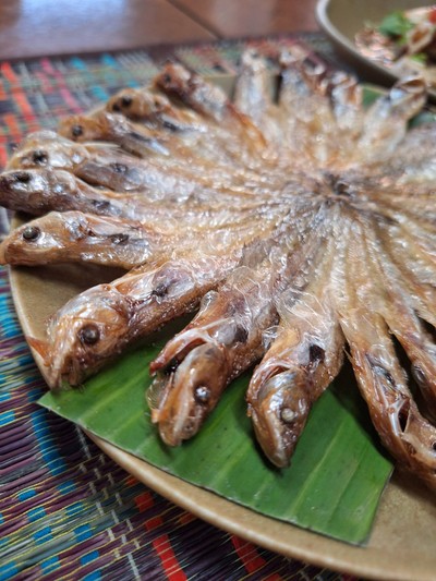 ปลาวงทอด