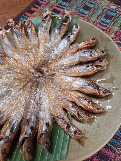 ปลาวงทอด