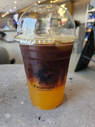 เมนูของร้าน PACAMARA The Circle Ratchapruk