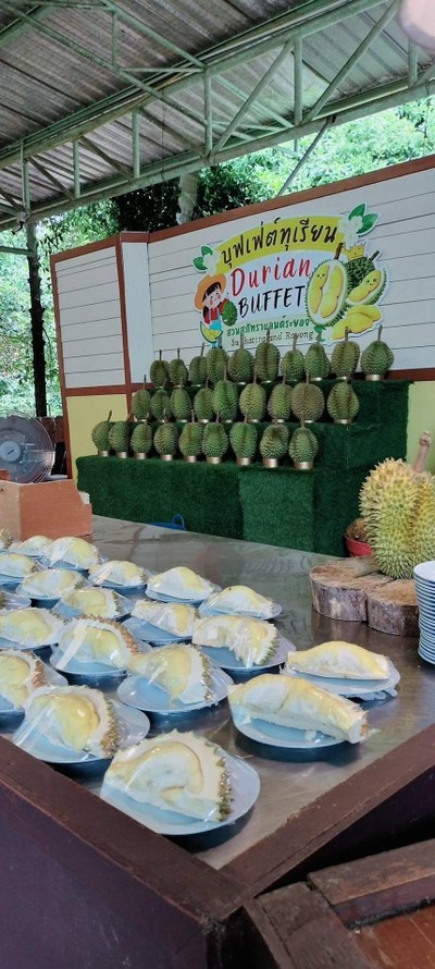 ทุเรียน