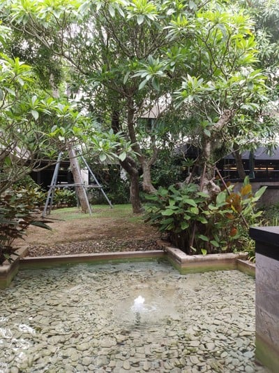 บริเวณโดยรอบ