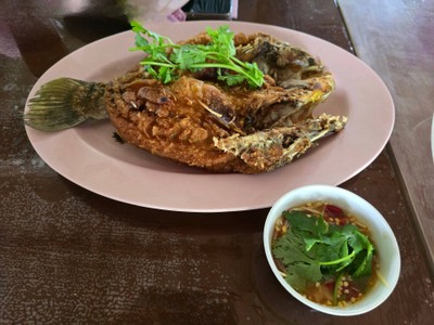 ปลากะพงทอดน้ำปลา