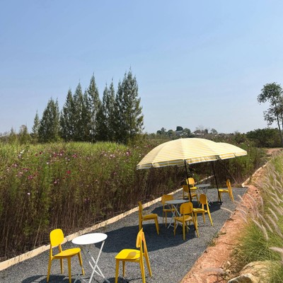 บรรยากาศ
