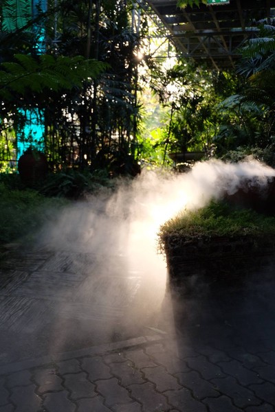 บรรยากาศ